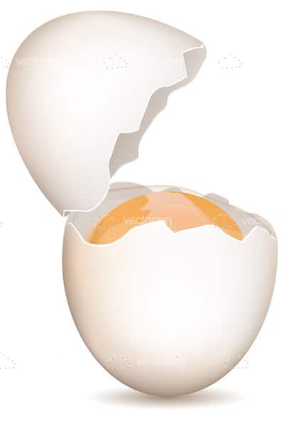 Broken Egg with Open Shell and Yolk
